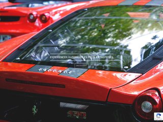 Tout savoir sur l'organisation de team building automobile 